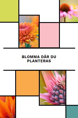 Blomma där du är planterad white modern-geo-&-linear