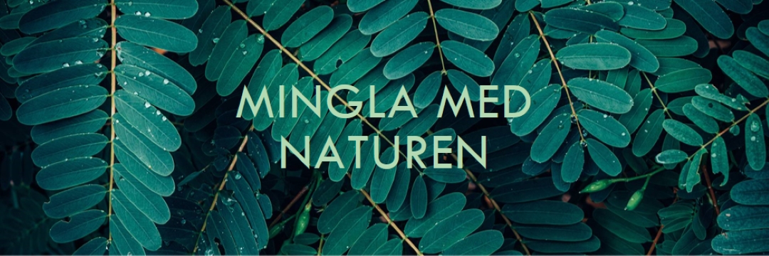 Mingla med naturen green modern-simple
