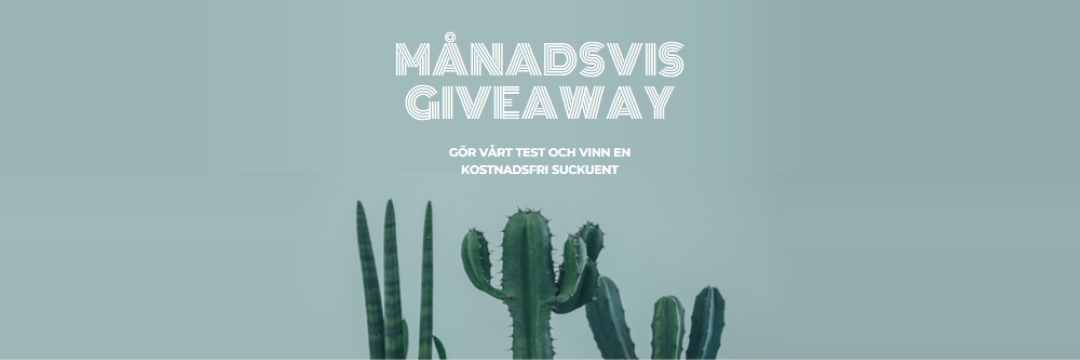 Månatligt giveaway-test green modern-simple
