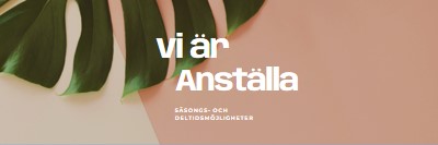 Vi anställer säsongsarbetare pink modern-simple