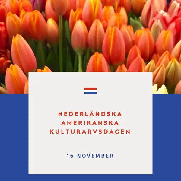 Firar holländska rötter orange modern-simple