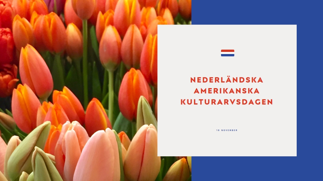 Firar holländska rötter orange modern-simple