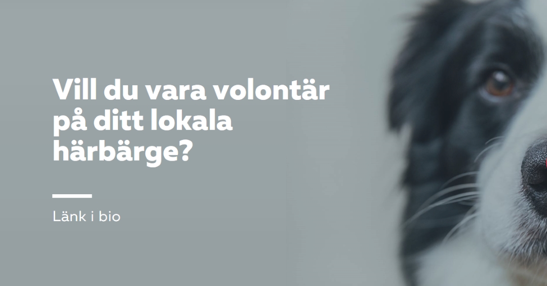Volontär och bring cheer blue modern-simple