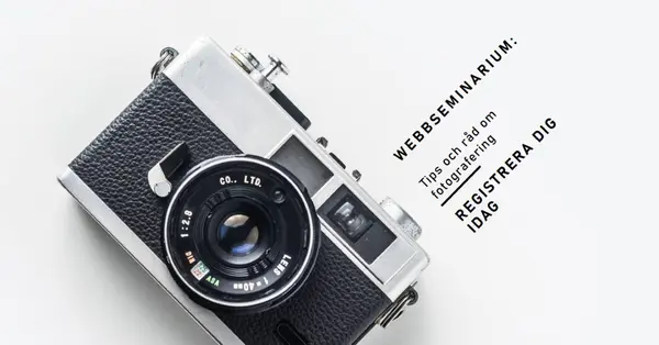 I fokus white modern-bold