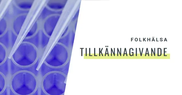 Offentlig försvarare white modern-bold