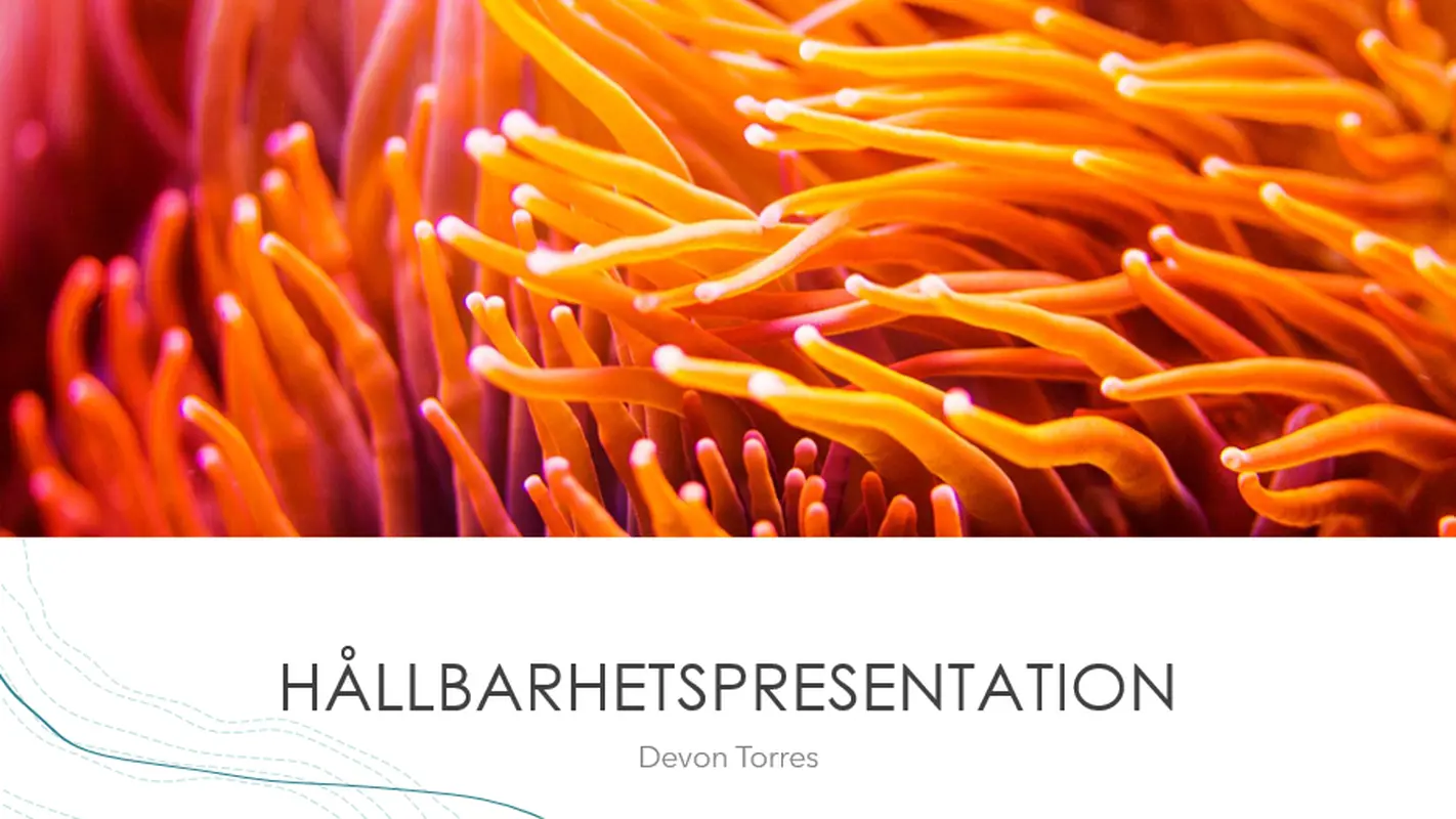 Havspresentation organic-simple