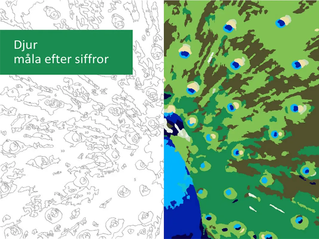 Djur måla efter siffror