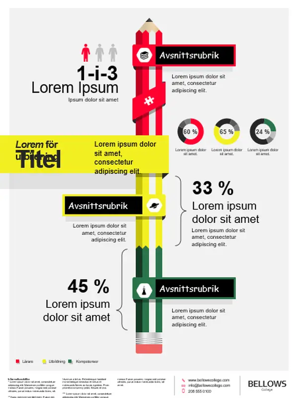 Affisch med infografik för utbildning modern-bold