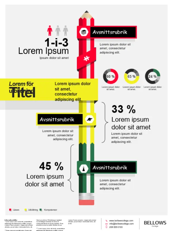 Affisch med infografik för utbildning red modern-bold