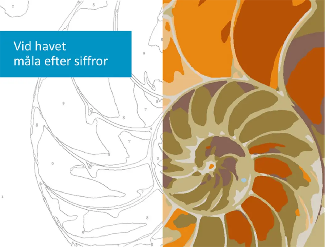 Vid havet måla efter siffror