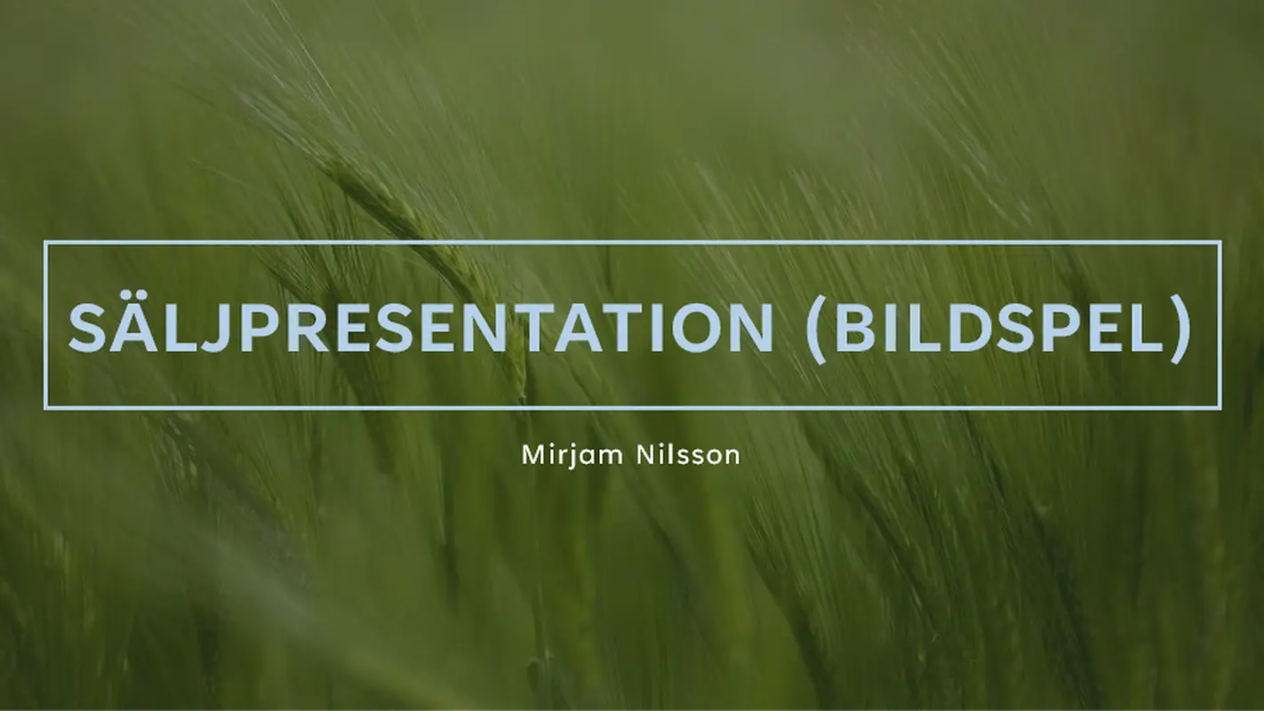 Lummig säljpresentation modern-simple