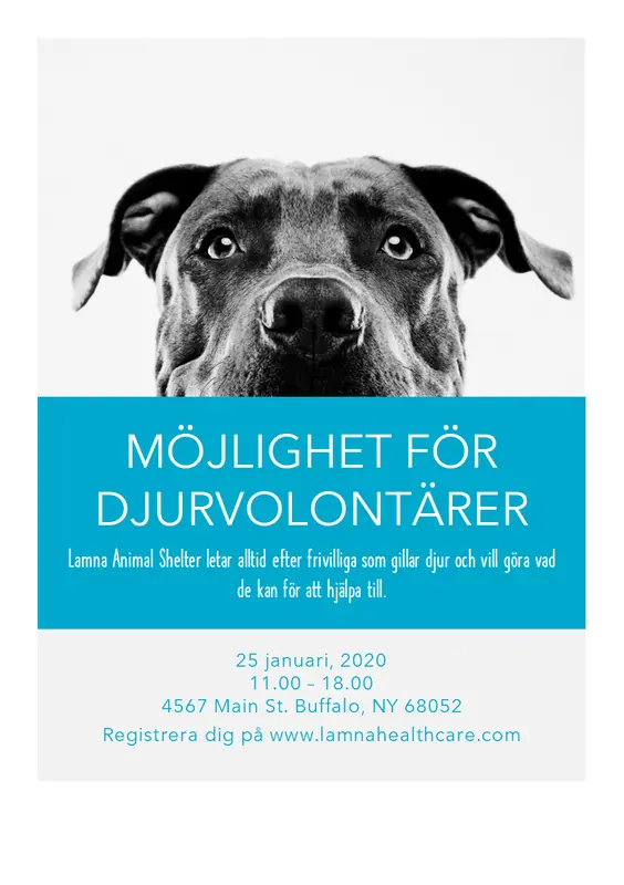 Reklamblad för djurvolontärer modern-simple