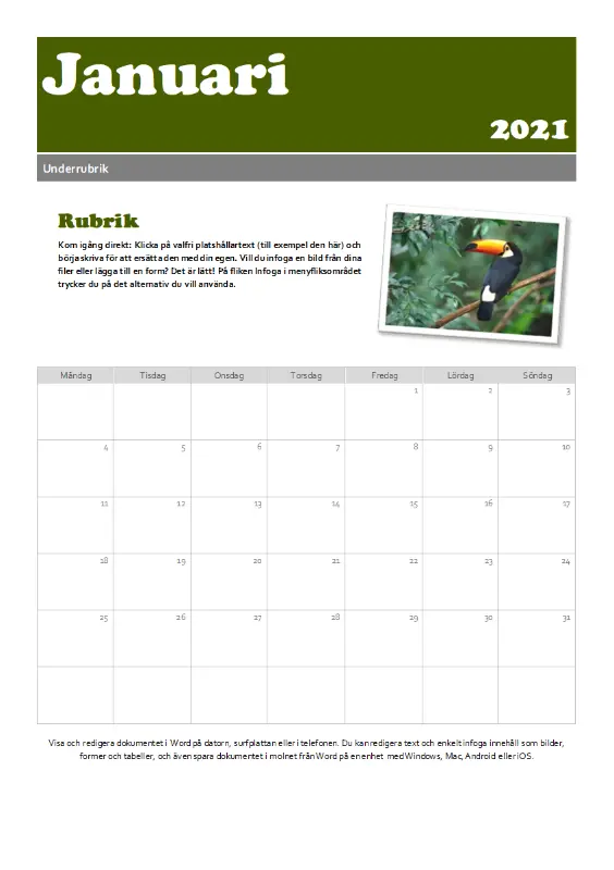 Kalender för ögonblicksbild green modern-simple