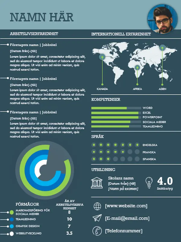 Internationell CV med informationsgrafik modern simple