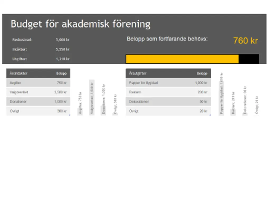 Budget för akademisk förening modern simple