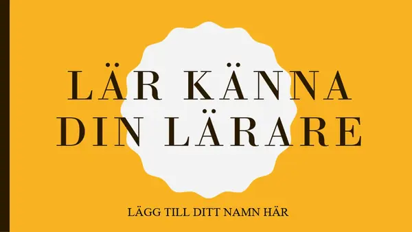 Lär känna din lärare modern color block