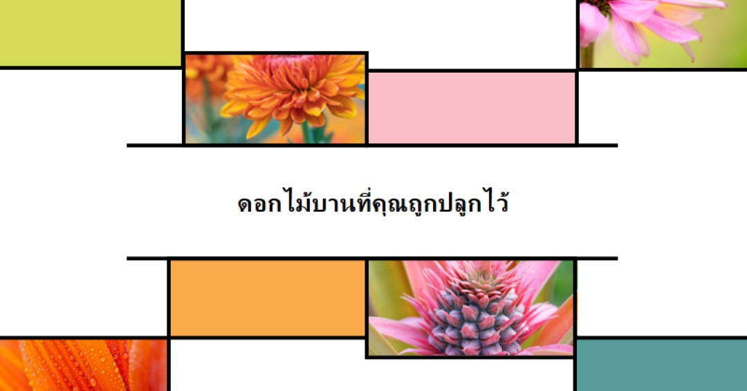 ดอกไม้บานที่คุณถูกปลูก white modern-geo-&-linear