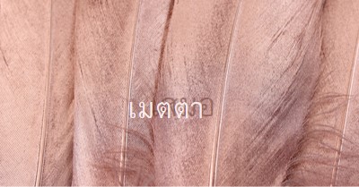 ผ้าที่เป็นมิตร pink modern-simple