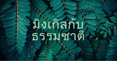 มิงเกิลกับธรรมชาติ green modern-simple