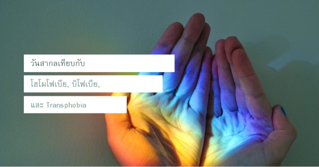 ไม่ต้องกลัวที่นี่ green modern-simple