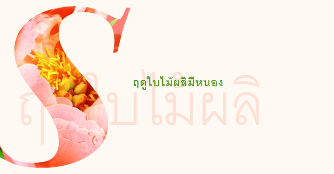 พรีนนิ่งในฤดูใบไม้ผลิ pink vintage-botanical