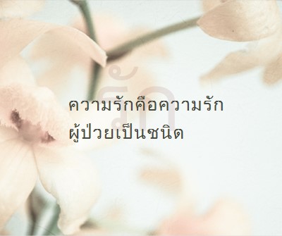 บันทึกความรัก white modern-simple