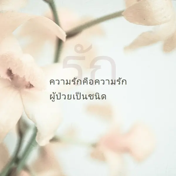 บันทึกความรัก white modern-simple