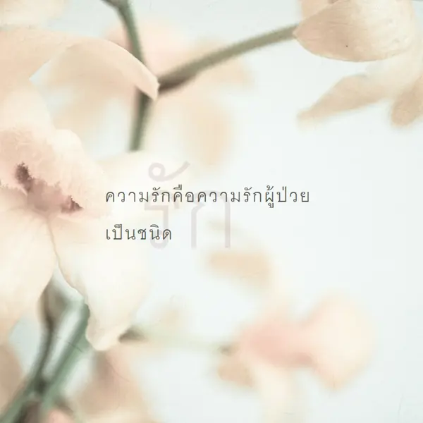บันทึกความรัก white modern-simple