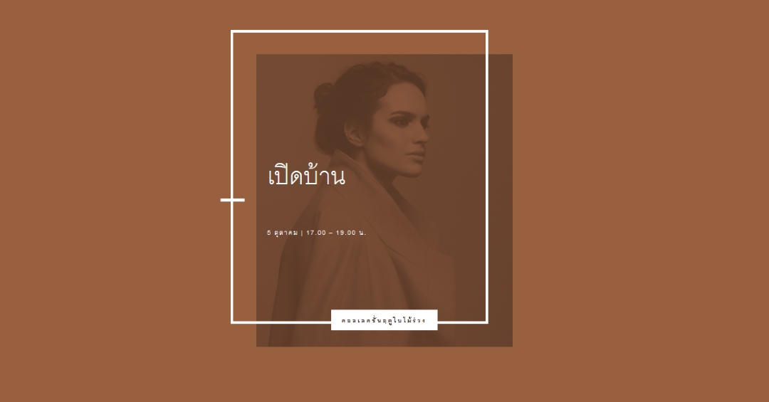 แฟชั่นตัวหนา brown modern-bold