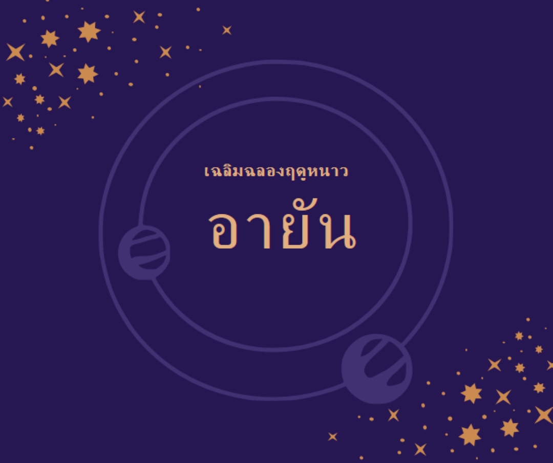 ฤดูหนาวกําลังจะมา purple organic-boho