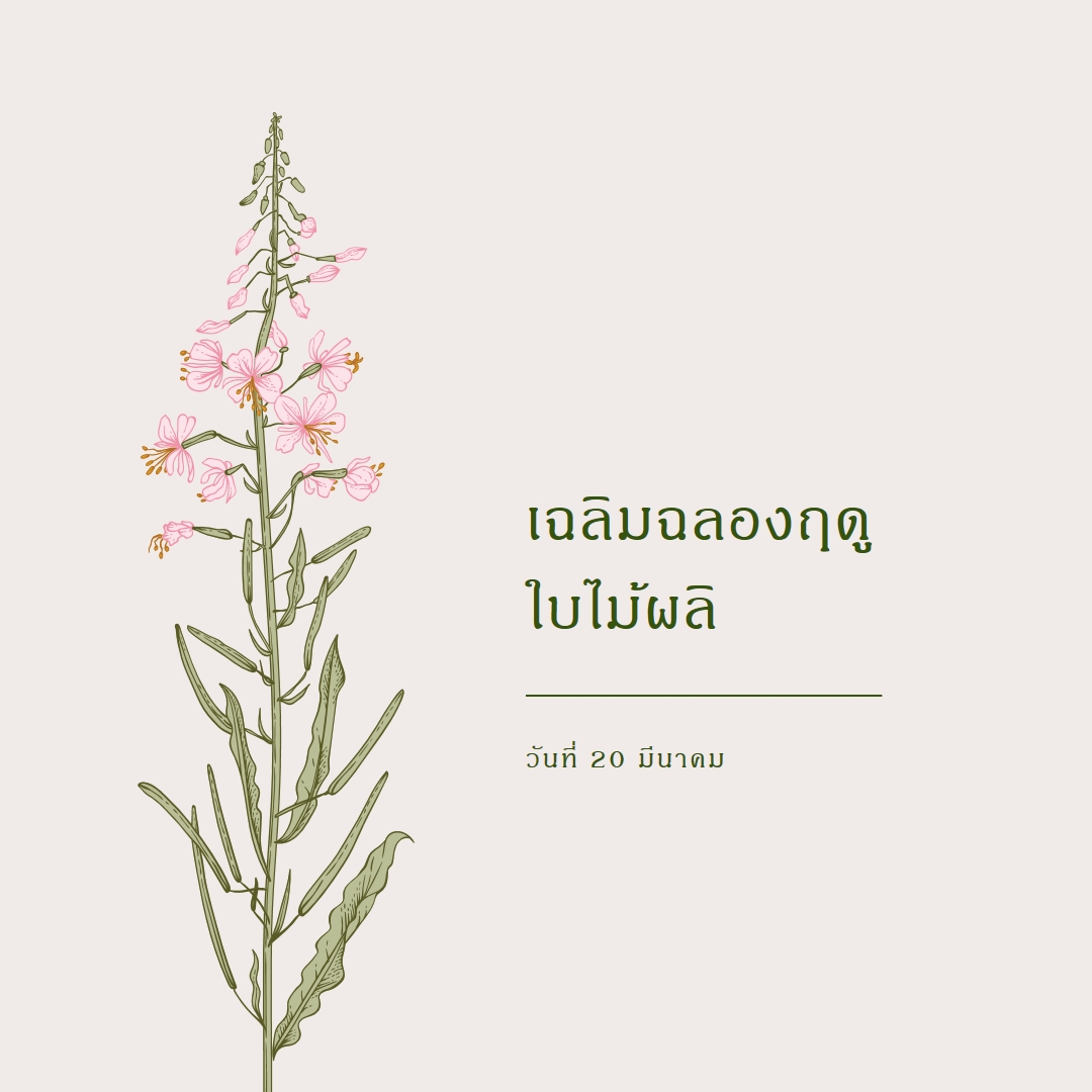 เฉลิมฉลองฤดูใบไม้ผลิ white vintage-botanical