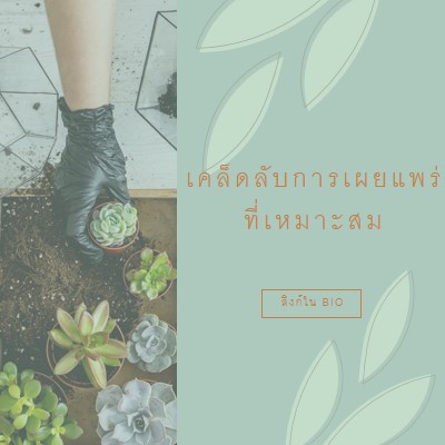 เพียงฉ่ํา green organic-simple