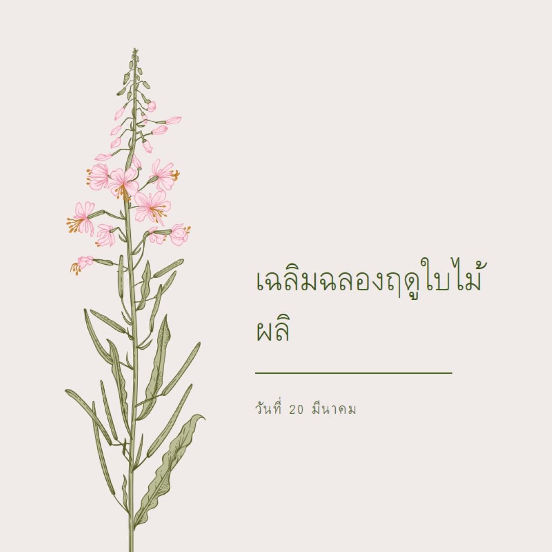 เฉลิมฉลองฤดูใบไม้ผลิ white vintage-botanical