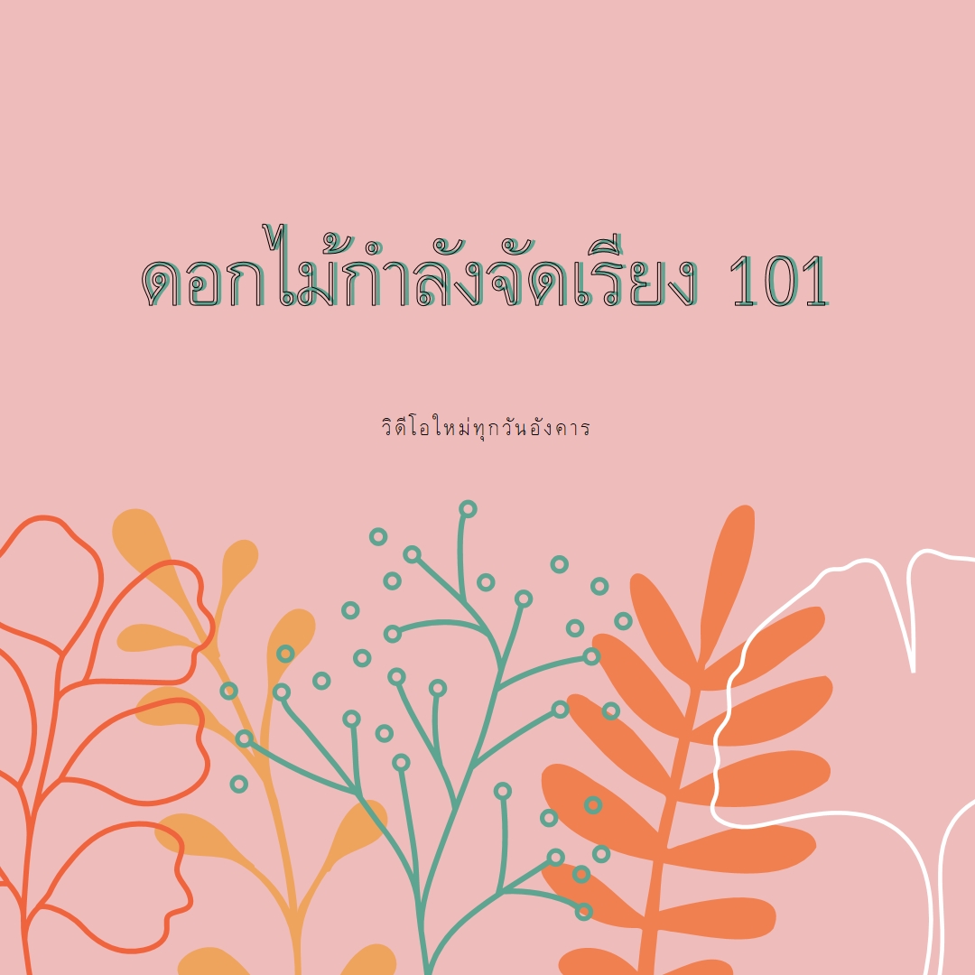 ดอกไม้ขนปุย pink whimsical-line