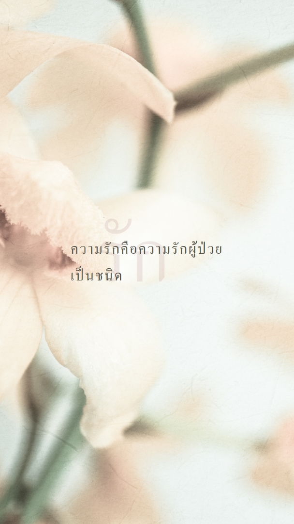 บันทึกความรัก white modern-simple