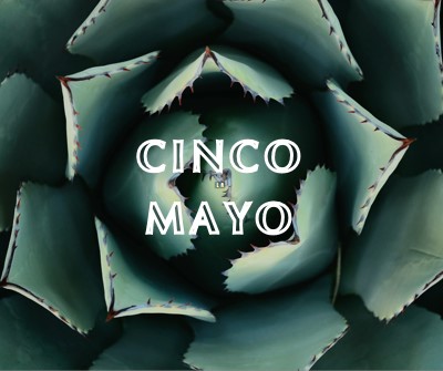 เฉลิมฉลองเทศกาล Cinco de Mayo green modern-bold