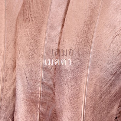 ผ้าที่เป็นมิตร pink modern-simple