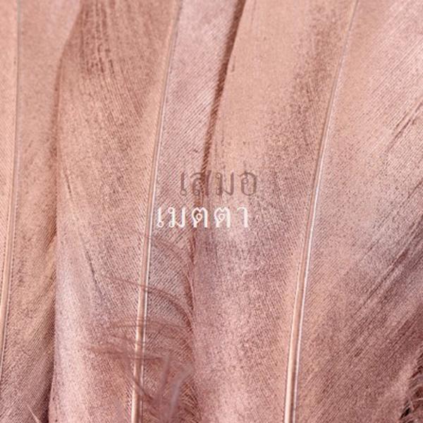 ผ้าที่เป็นมิตร pink modern-simple