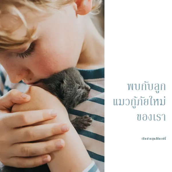 พบกับการช่วยเหลือใหม่ของเรา pink modern-simple
