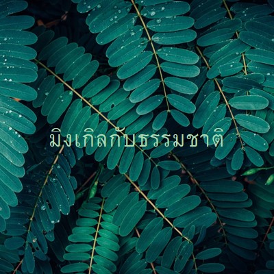 มิงเกิลกับธรรมชาติ green modern-simple