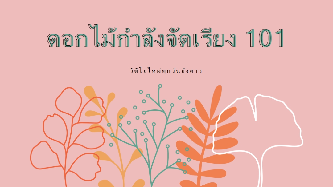 ดอกไม้ขนปุย pink whimsical-line