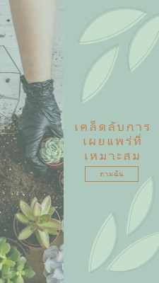 เพียงฉ่ํา green organic-simple