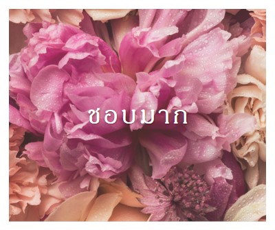 ความรู้สึกดอกไม้ pink modern-simple