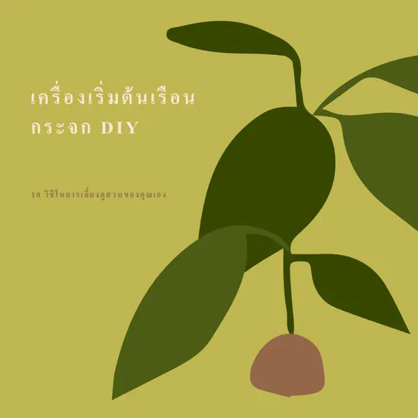 สร้างสวนของคุณเอง green modern-color-block