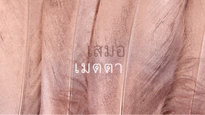 ผ้าที่เป็นมิตร pink modern-simple