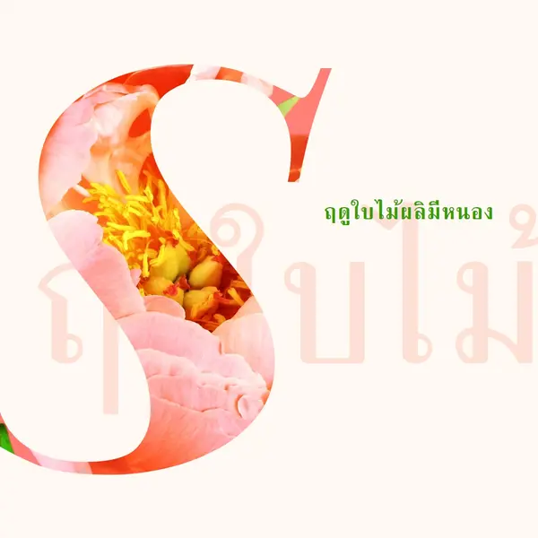 พรีนนิ่งในฤดูใบไม้ผลิ pink vintage-botanical