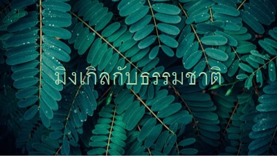 มิงเกิลกับธรรมชาติ green modern-simple