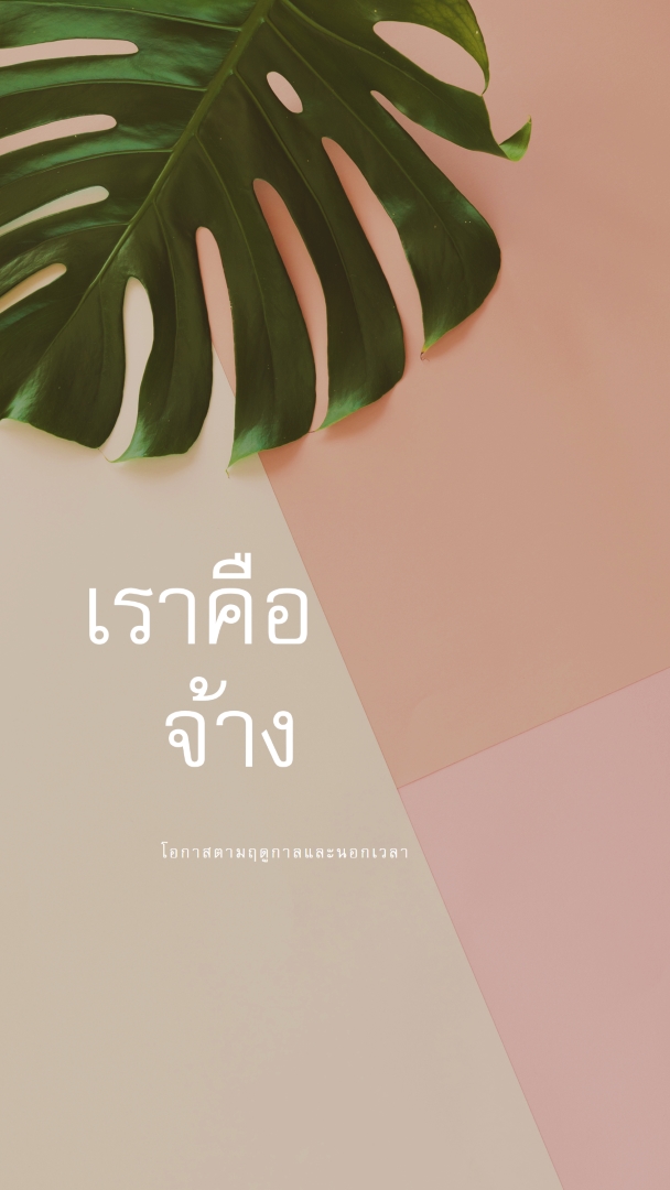 เรากําลังจ้างพนักงานประจําตามฤดูกาล pink modern-simple