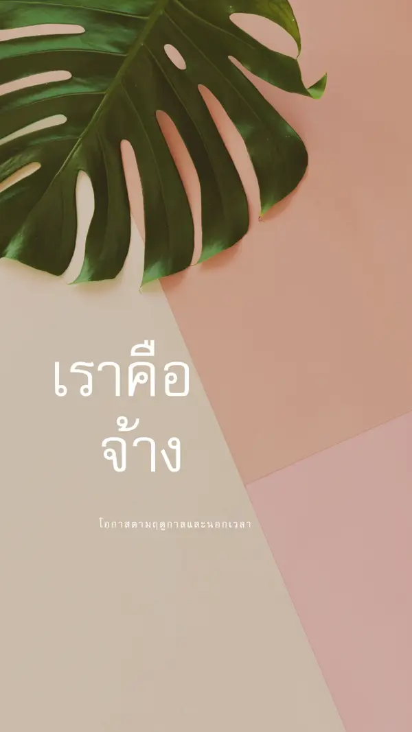 เรากําลังจ้างพนักงานประจําตามฤดูกาล pink modern-simple