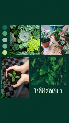 การใช้ชีวิตนิ้วโป้งสีเขียว green photographic,simple,collage,palette,handwriting,graphic